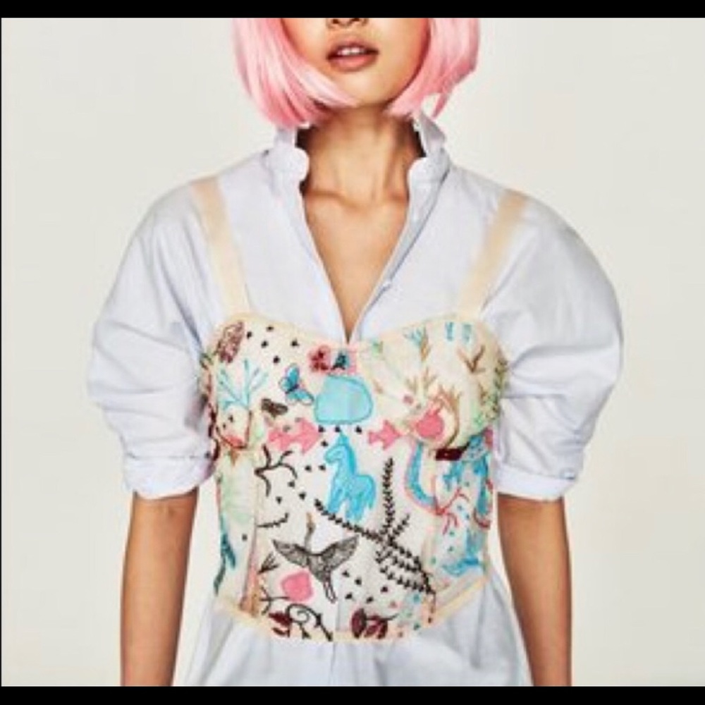 Semi-sheer Zara embroidered top